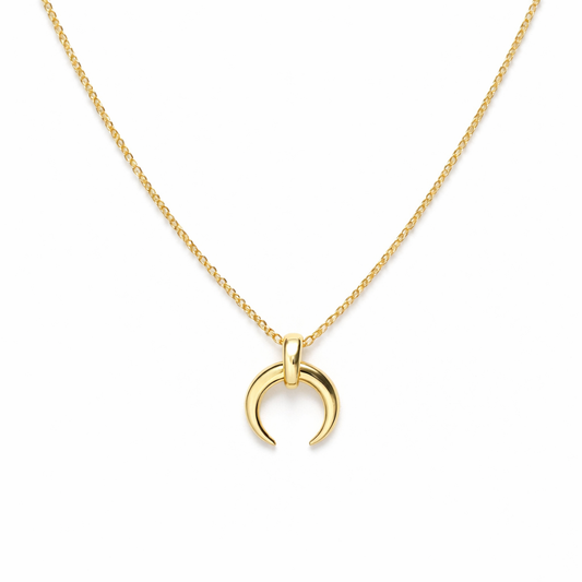 Horn  Necklace
